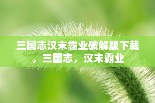 三国志汉末霸业破解版下载，三国志，汉末霸业