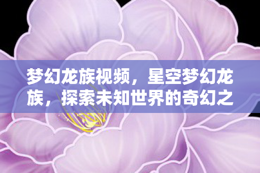 梦幻龙族视频，星空梦幻龙族，探索未知世界的奇幻之旅