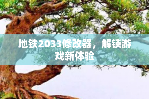 地铁2033修改器，解锁游戏新体验