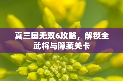 解锁全武将与隐藏关卡图片