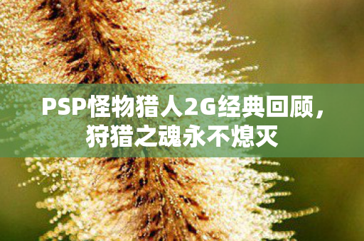 PSP怪物猎人2G经典回顾图片