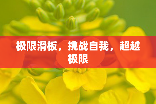极限滑板，挑战自我，超越极限
