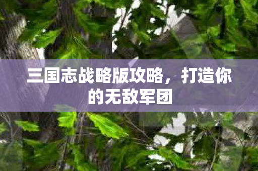 三国志战略版攻略，打造你的无敌军团