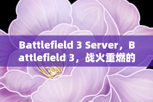 Battlefield 3 Server图片