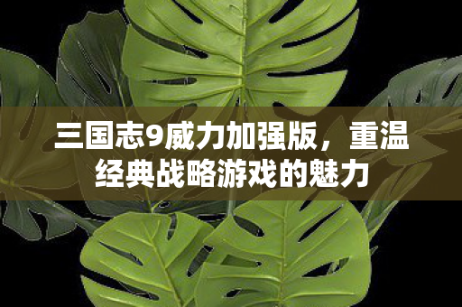 三国志9威力加强版，重温经典战略游戏的魅力