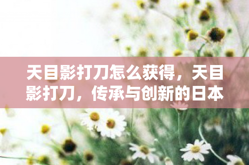 天目影打刀怎么获得，天目影打刀，传承与创新的日本传统工艺