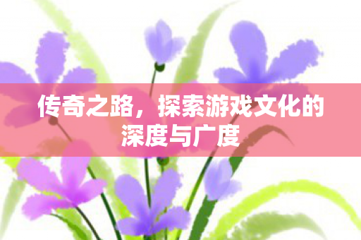 传奇之路,探索游戏文化的深度与广度 传奇之路,探索游戏文化的深度与广度
