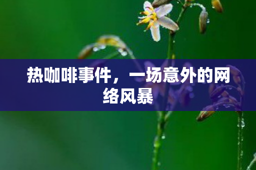热咖啡事件，一场意外的网络风暴