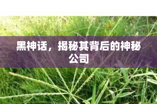 黑神话，揭秘其背后的神秘公司