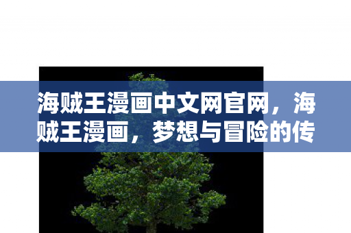 海贼王漫画中文网官网，海贼王漫画，梦想与冒险的传奇之旅