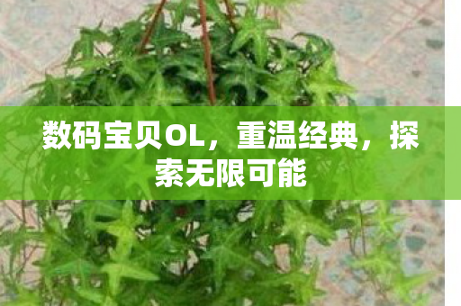 数码宝贝OL,重温经典,探索无限可能 数码宝贝OL,重温经典,探索无限可能