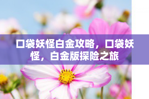 口袋妖怪白金攻略,口袋妖怪,白金版探险之旅 口袋妖怪白金攻略,口袋妖怪,白金版探险之旅