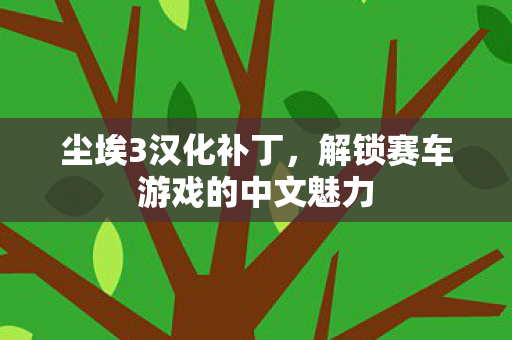 尘埃3汉化补丁，解锁赛车游戏的中文魅力