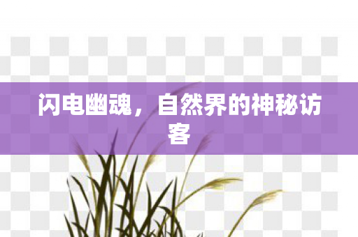 闪电幽魂，自然界的神秘访客