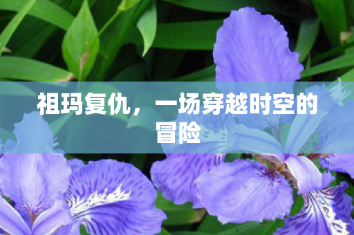 一场穿越时空的冒险图片