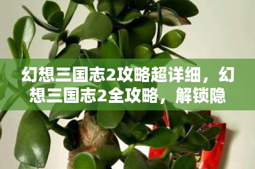 幻想三国志2攻略超详细，幻想三国志2全攻略，解锁隐藏剧情与角色发展