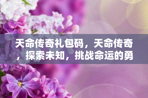 天命传奇礼包码，天命传奇，探索未知，挑战命运的勇者之旅