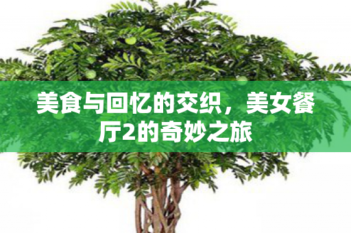 美食与回忆的交织，美女餐厅2的奇妙之旅