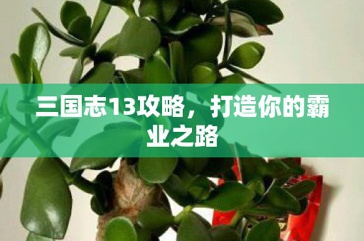 打造你的霸业之路图片
