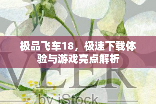 极品飞车18，极速下载体验与游戏亮点解析