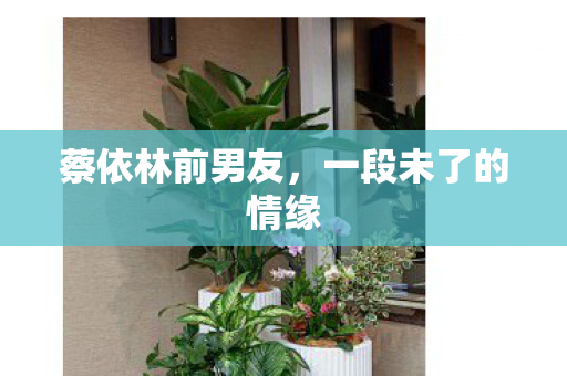 蔡依林前男友,一段未了的情缘 蔡依林前男友,一段未了的情缘