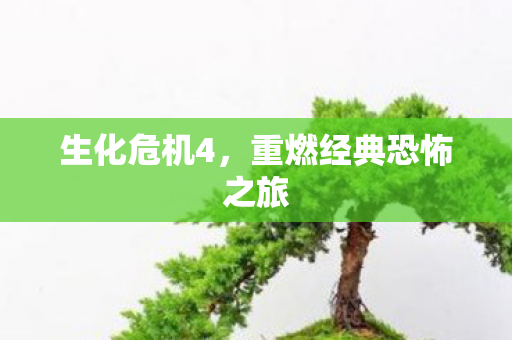 生化危机4，重燃经典恐怖之旅