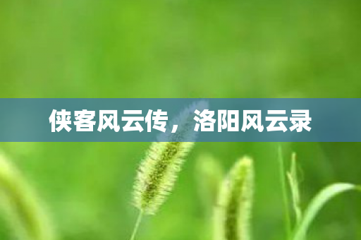 侠客风云传，洛阳风云录