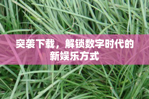 突袭下载，解锁数字时代的新娱乐方式