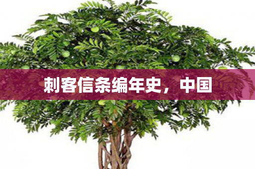 刺客信条编年史，中国