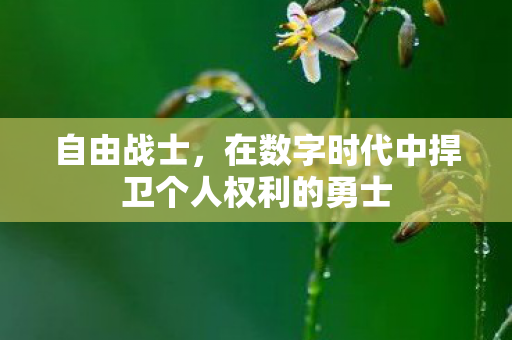 自由战士，在数字时代中捍卫个人权利的勇士