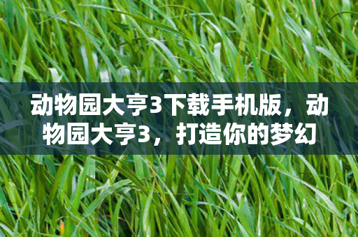 动物园大亨3下载手机版，动物园大亨3，打造你的梦幻动物园