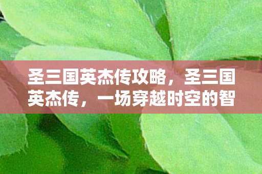 圣三国英杰传攻略，圣三国英杰传，一场穿越时空的智谋与勇气的较量