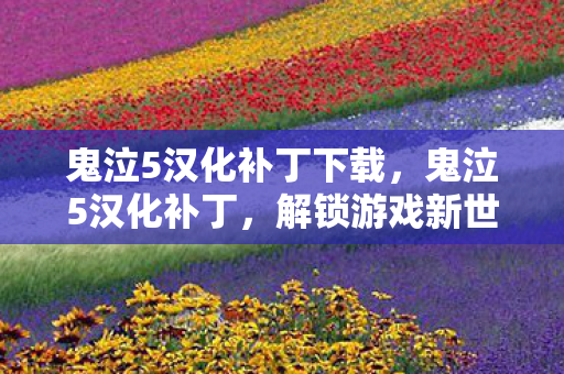 鬼泣5汉化补丁下载，鬼泣5汉化补丁，解锁游戏新世界的钥匙