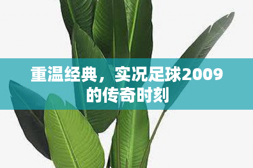 重温经典，实况足球2009的传奇时刻