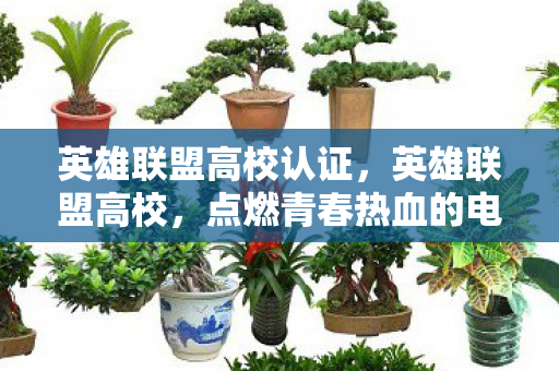 英雄联盟高校认证，英雄联盟高校，点燃青春热血的电竞盛宴