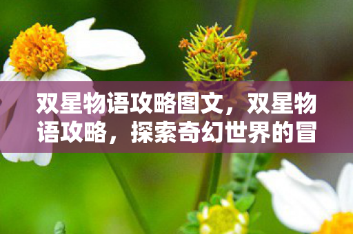 双星物语攻略图文，双星物语攻略，探索奇幻世界的冒险之旅