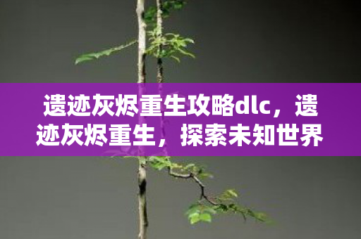遗迹灰烬重生攻略dlc，遗迹灰烬重生，探索未知世界的生存指南
