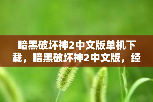 暗黑破坏神2中文版单机下载，暗黑破坏神2中文版，经典再现，情怀与创新的完美融合