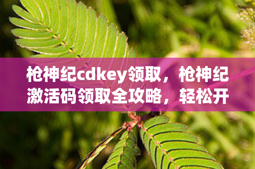 枪神纪cdkey领取，枪神纪激活码领取全攻略，轻松开启你的射击游戏之旅！