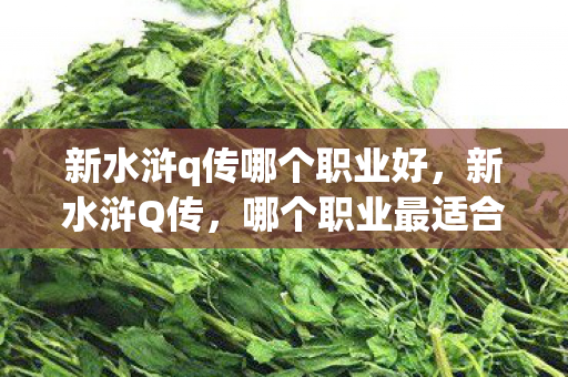 新水浒q传哪个职业好,新水浒Q传,哪个职业最适合你? 新水浒q传哪个职业好,新水浒Q传,哪个职业最适合你?