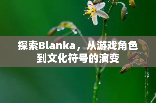 探索Blanka，从游戏角色到文化符号的演变