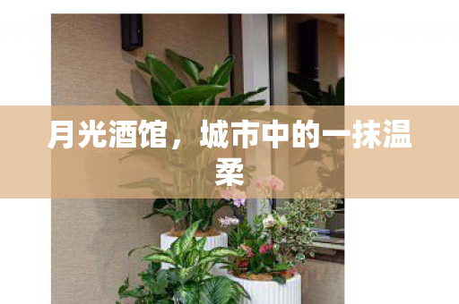 月光酒馆，城市中的一抹温柔