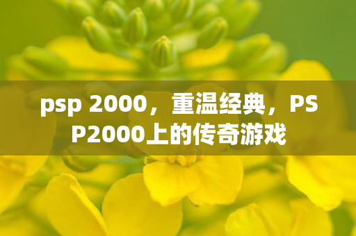psp 2000，重温经典，PSP2000上的传奇游戏