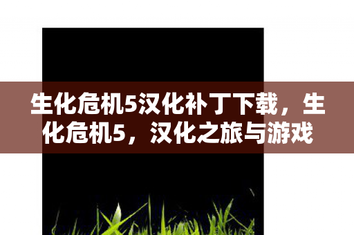 生化危机5汉化补丁下载，生化危机5，汉化之旅与游戏文化的深度探索