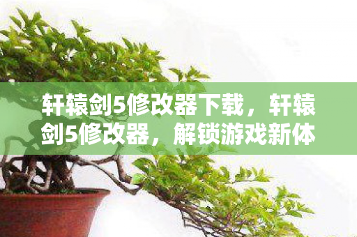 轩辕剑5修改器下载，轩辕剑5修改器，解锁游戏新体验
