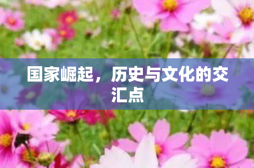 国家崛起，历史与文化的交汇点