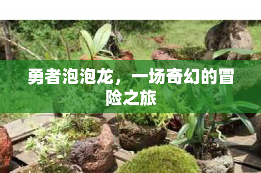 勇者泡泡龙，一场奇幻的冒险之旅