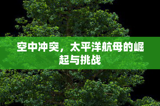 空中冲突，太平洋航母的崛起与挑战