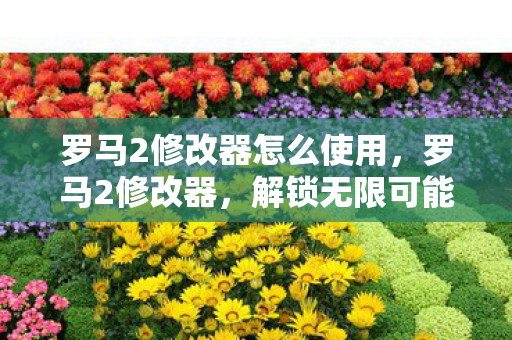 罗马2修改器怎么使用，罗马2修改器，解锁无限可能的战争策略游戏工具