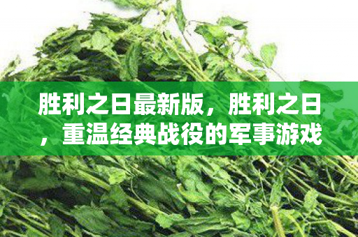 胜利之日最新版，胜利之日，重温经典战役的军事游戏下载指南